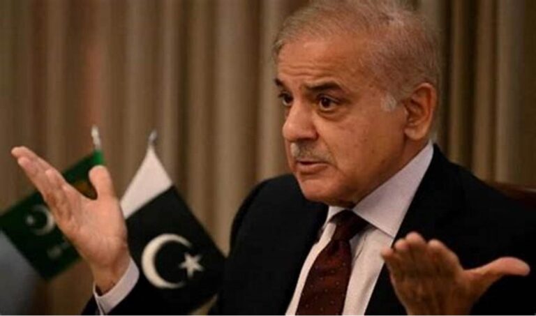 Pakistan PM Acknowledges Indian Missile Strikes